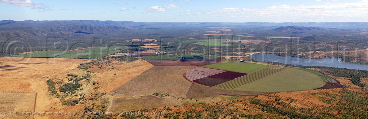 Peter Bellingham Photography Lakeland Farm - QLD (PBH4 00 14331)